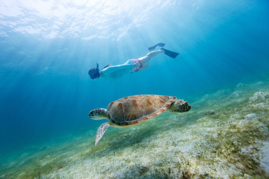 Emerald Coast: Afternoon Snorkel & Dolphin Tour - Searching for dolphins along Fort Walton Beach