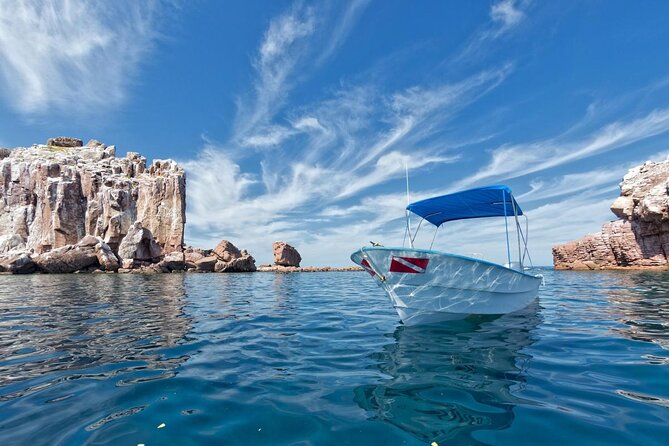 Espiritu Santo Island Snorkel & Sea Lion Adventure - Key things to know before you book