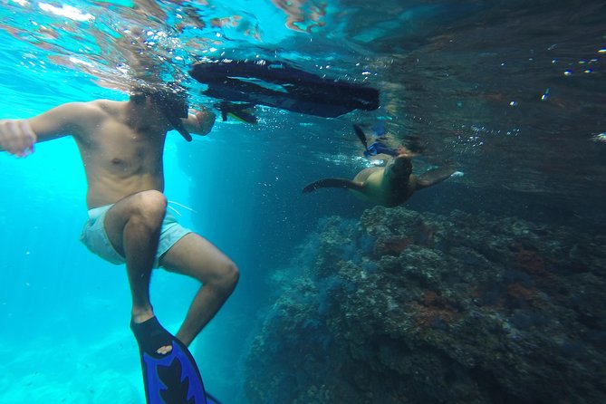 Espiritu Santo Island Snorkel & Sea Lion Adventure - Why Espiritu Santo is worth a full day