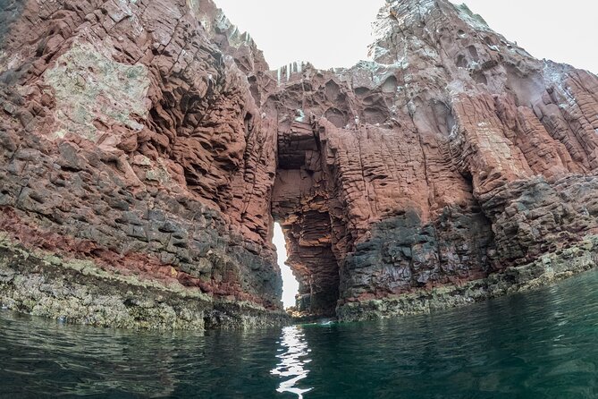 Espiritu Santo Island Snorkel & Sea Lion Adventure - Ensenada Grande and lunch by the water