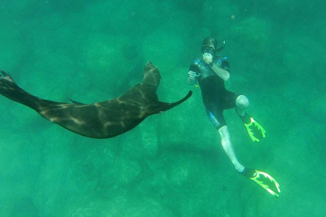 Espiritu Santo Island Snorkel & Sea Lion Adventure - Guides, crew, and the feel of the boat