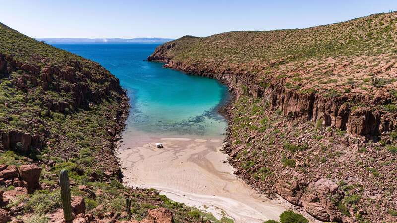 Espiritu Santo Island: Snorkeling Sea Lion Adventure - Why the guides make such a difference