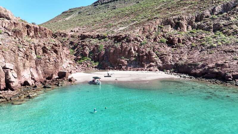 Espiritu Santo Island: Snorkeling Sea Lion Adventure - Is $133 a fair price?