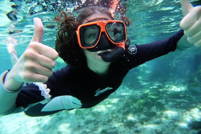 Exclusive Small Group VIP Heated Manatee Snorkel Tour - Photos, snacks, and what the price covers