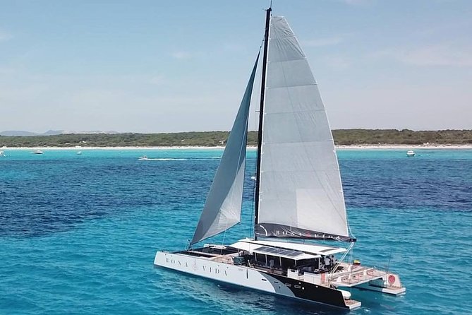 Excursion to the Rosario Islands with Lunch and Snorkeling - Why the catamaran is the heart of the experience