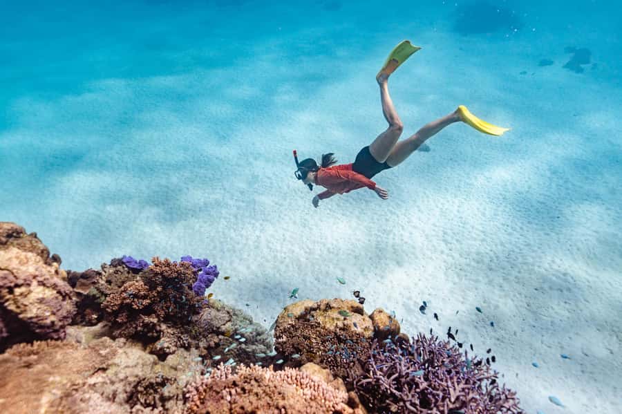 Exmouth: Guided Ningaloo Reef Snorkel Adventure - Why two beach entries make this Ningaloo day worthwhile