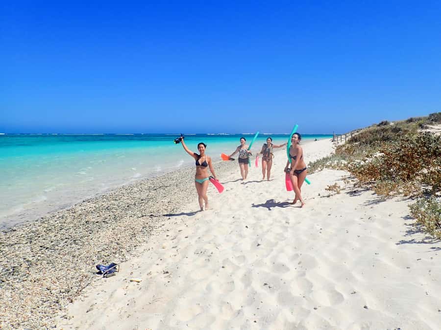 Exmouth: Guided Ningaloo Reef Snorkel Adventure - Getting fitted out before entering the water