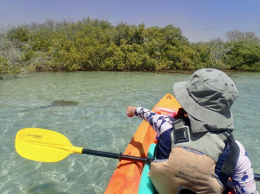 Exmouth: Half Day Turtle Kayak & Snorkel Tour - Key points to know before booking