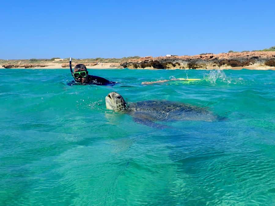 Exmouth: Half Day Turtle Kayak & Snorkel Tour - Why kayaking works so well at Ningaloo