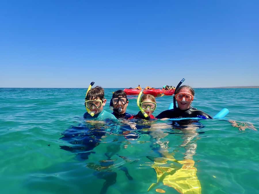 Exmouth: Half Day Turtle Kayak & Snorkel Tour - Snorkeling from the kayak-only moorings