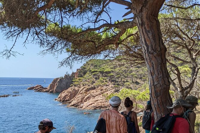 Explore Costa Brava & Tossa de Mar Coastal Trails, Snorkel & Meal - The Cami de Ronda is the active heart of the tour