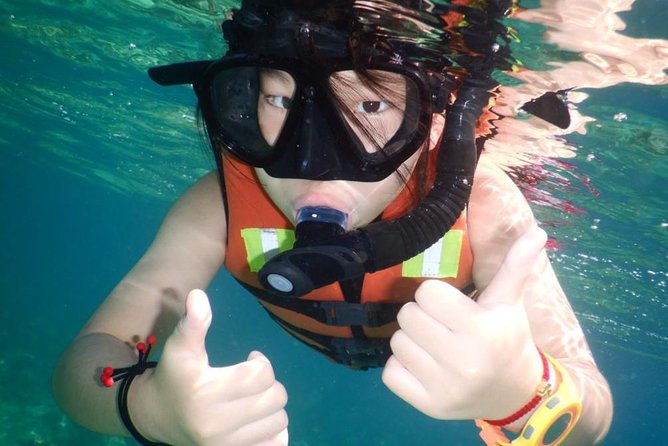 Explore Nha Trang Bay: Half-Day Snorkeling Adventure Tour - My practical verdict