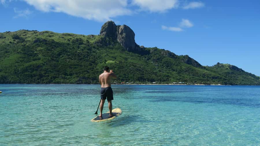 Fiji: Ultimate Encounters Snorkel with Sharks and Lunch - Who will enjoy this day most?