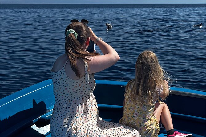 Fishing, Snorkelling & Dolphin Boat Tour - What the three-hour format really means
