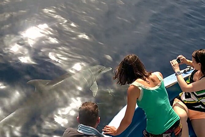 Fishing, Snorkelling & Dolphin Boat Tour - Snorkeling with a short time window