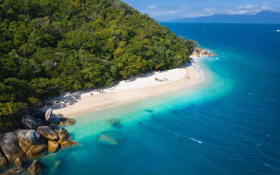Fitzroy Island: Full-Day Ferry & Snorkel Safari Guided Tour - The 10:00 AM guided snorkel safari