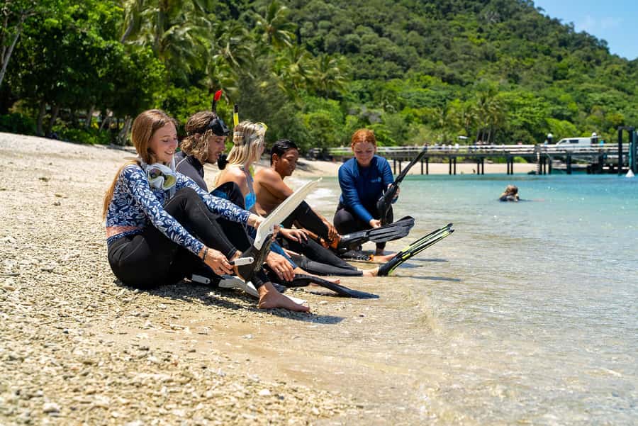 Fitzroy Island: Full-Day Ferry & Snorkel Safari Guided Tour - Ferry timing and the return to Cairns