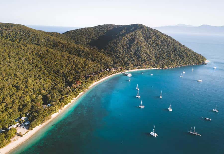 Fitzroy Island: Full-Day Ferry & Snorkel Safari Guided Tour - First hour on Fitzroy Island