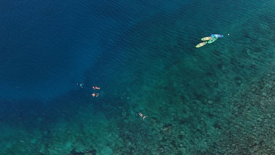 Flamingo Beach: Guided SUP and Snorkeling experience - Why weather and wind can change the outing