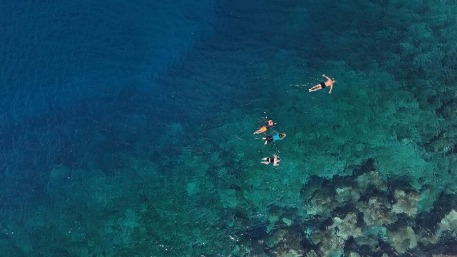 Flamingo Beach: Guided SUP and Snorkeling experience - Who should book this Playa Blanca experience?