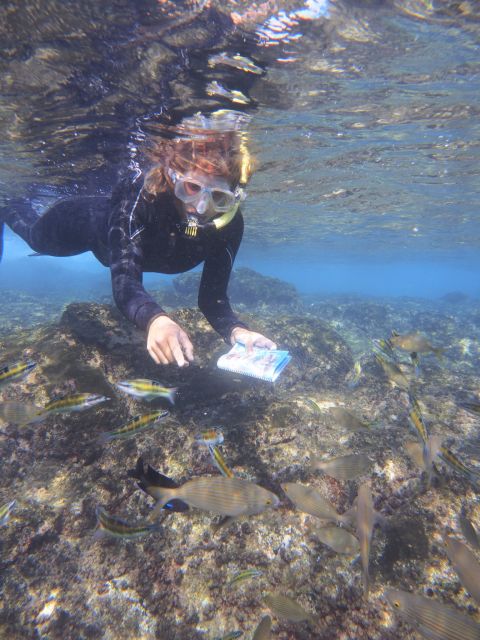 Flamingo Beach: Guided SUP and Snorkeling experience - Learning SUP without feeling rushed