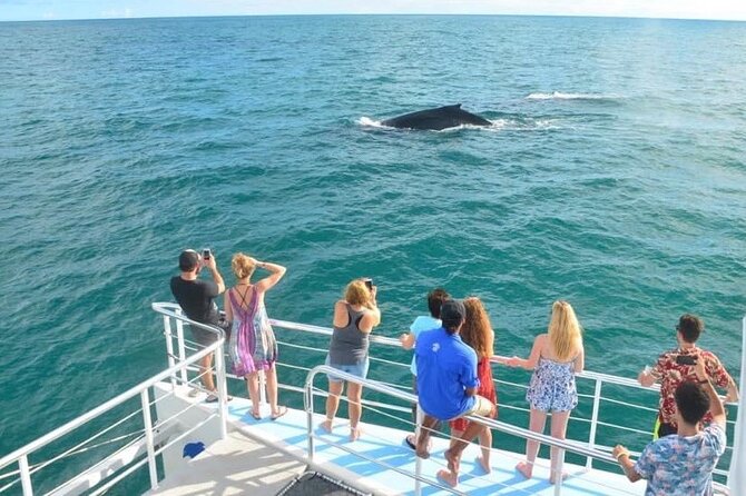 Flamingo Family Fun Catamaran Snorkel:Comfortable shaded seating - Snorkeling: pleasant water time, modest reef viewing
