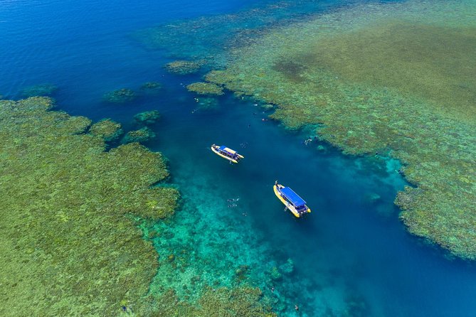 Fly Raft Package: Whitehaven Beach, Snorkel and Scenic Flight - Snorkeling at the inner fringing reef