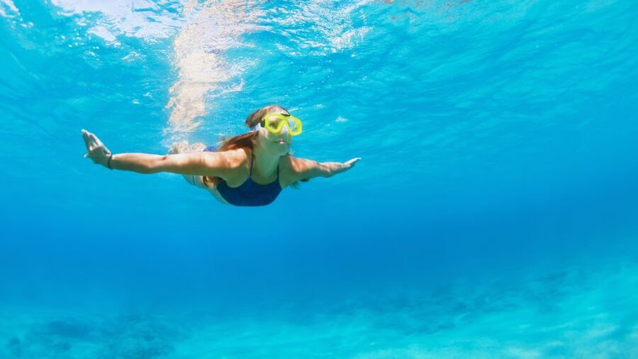 Fort Walton Beach: Morning Dolphin Cruise with Snorkel Stop - Who Should Book This Morning Cruise?