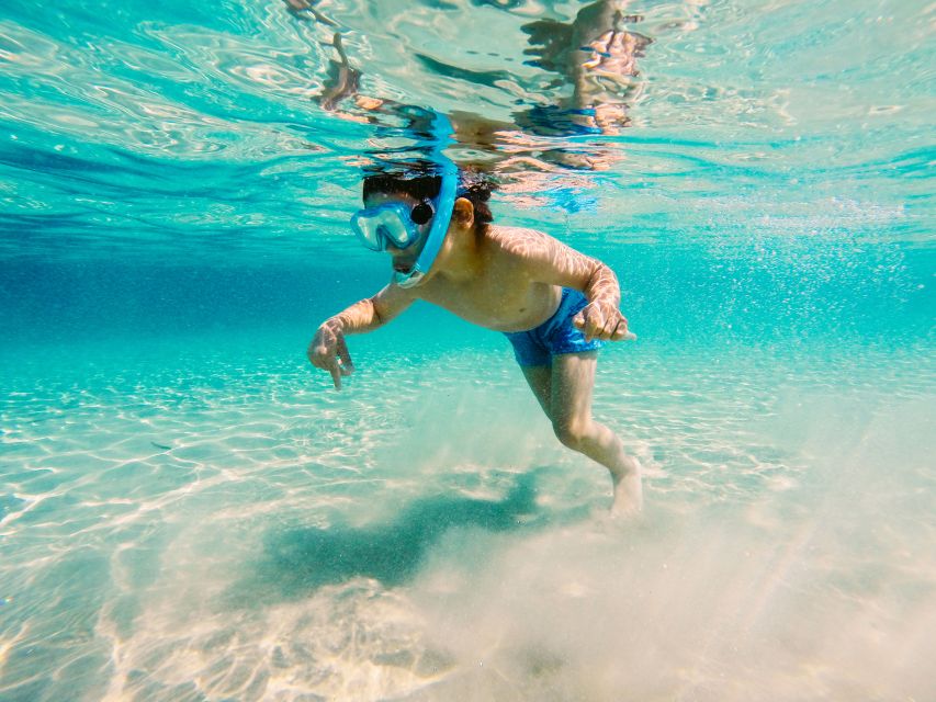 Fort Walton Beach: Morning Dolphin Cruise with Snorkel Stop - What Happens at the Snorkel Stop