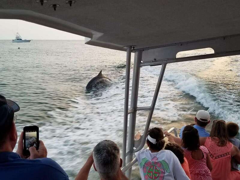 Fort Walton: Dolphin Discovery and Snorkeling Cruise - Key points to know before you book