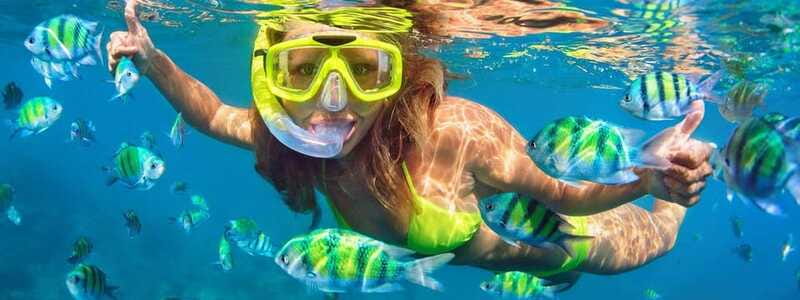 Fort Walton: Dolphin Discovery and Snorkeling Cruise - What the crew adds to the day