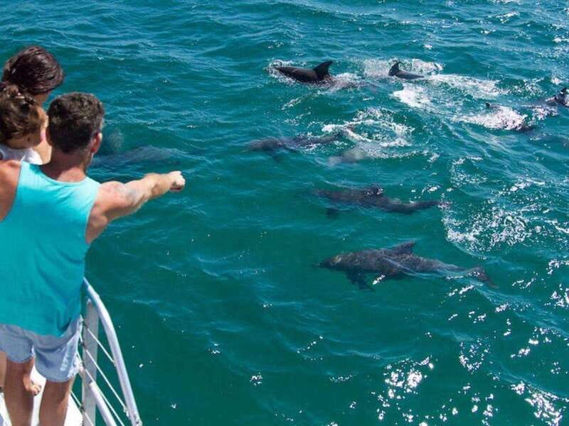 Fort Walton: Dolphin Discovery and Snorkeling Cruise - Who will enjoy this cruise most?