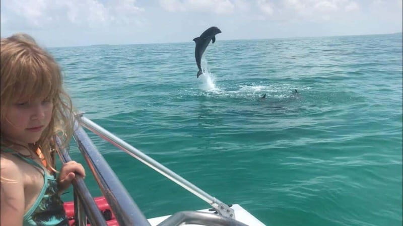 Fort Walton: Dolphin Discovery and Snorkeling Cruise - Practical tips for a better outing