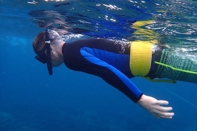 Four Winds Molokini Snorkeling Tour from Maalaea Harbor - Starting early at Maalaea Harbor