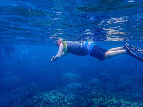 Four Winds Molokini Snorkeling Tour from Maalaea Harbor - Breakfast, lunch, and drinks onboard