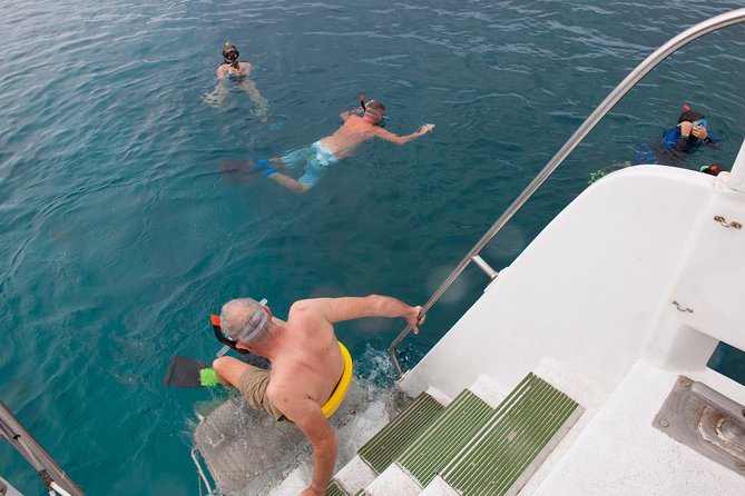 Four Winds Molokini Snorkeling Tour from Maalaea Harbor - A good choice for families and beginners