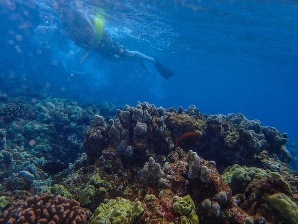 Four Winds Molokini Snorkeling Tour from Maalaea Harbor - The ride from Maui to Molokini Crater