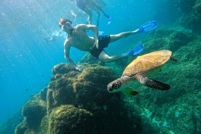 From Abu Dhabi: Snorkeling with turtles in Fujairah with BBQ - The 6:00 am Abu Dhabi pickup