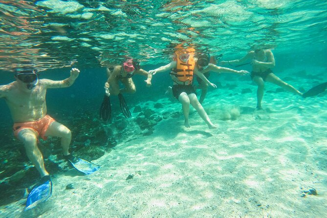 From Abu Dhabi: Snorkeling with turtles in Fujairah with BBQ - Is the $195.09 price good value?