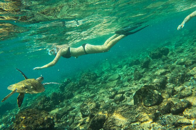 From Abu Dhabi: Snorkeling with turtles in Fujairah with BBQ - Who should book this Fujairah outing?