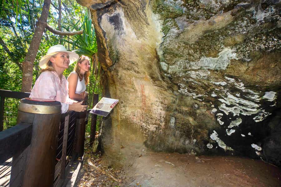 From Airlie Beach: Hook Island Cultural Tour, Sail & Snorkel - Nara Inlet and the story of the Ngaro people