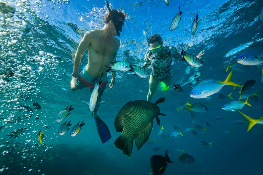 From Airlie Beach: Hook Island Cultural Tour, Sail & Snorkel - Hook Island snorkeling for about 45 minutes