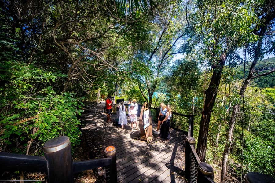 From Airlie Beach: Hook Island Cultural Tour, Sail & Snorkel - Food, drinks, and service