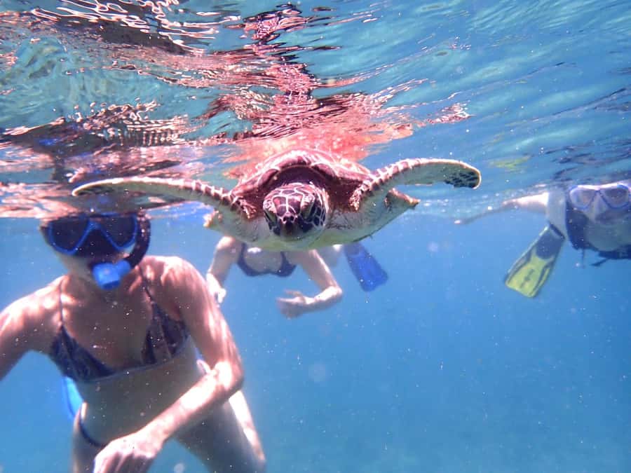 From Al-Seeb: Dimaniyat Islands Boat Trip with Snorkeling - The Small Drawbacks to Keep in Mind