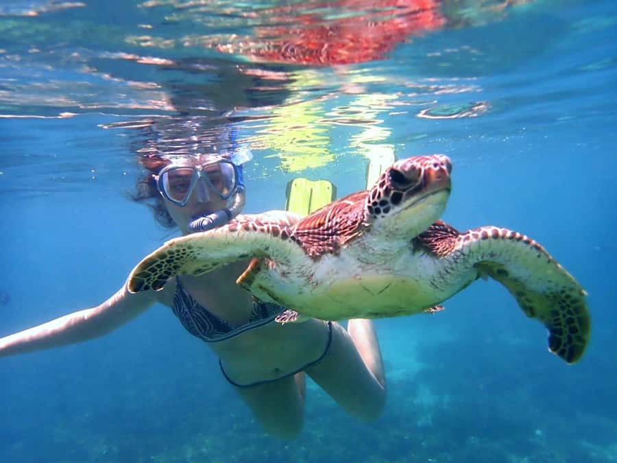 From Al-Seeb: Dimaniyat Islands Boat Trip with Snorkeling - Is $85 a Fair Price?