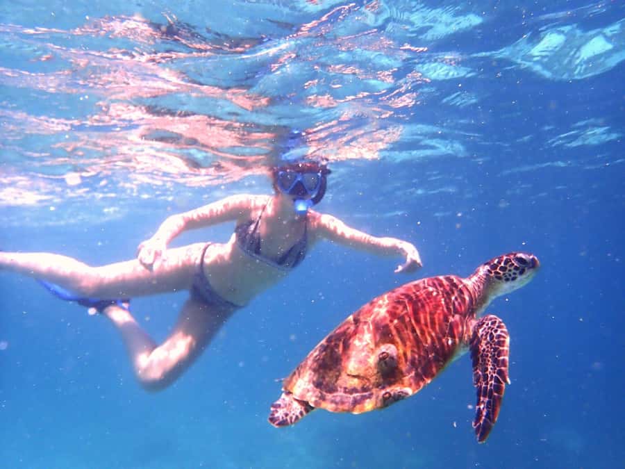 From Al-Seeb: Dimaniyat Islands Boat Trip with Snorkeling - Timing, Comfort, and What to Pack