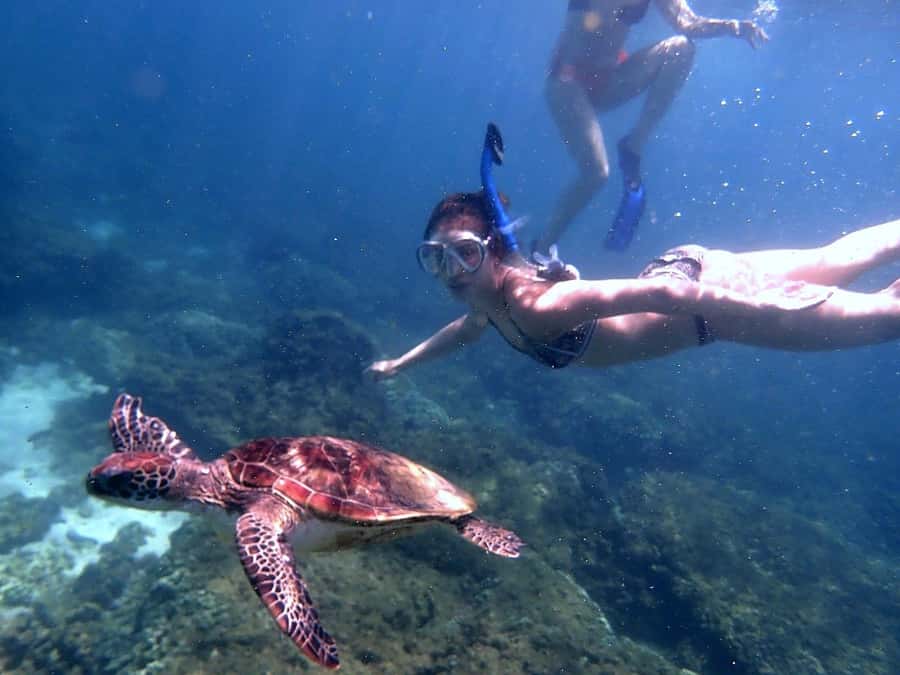 From Al-Seeb: Dimaniyat Islands Boat Trip with Snorkeling - Who Will Enjoy This Trip Most?