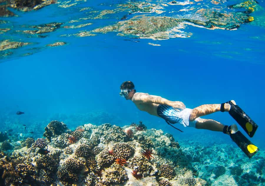 From Bali: 2-Day Private Gili Island Snorkel Tour with Hotel - Who will enjoy this island break?