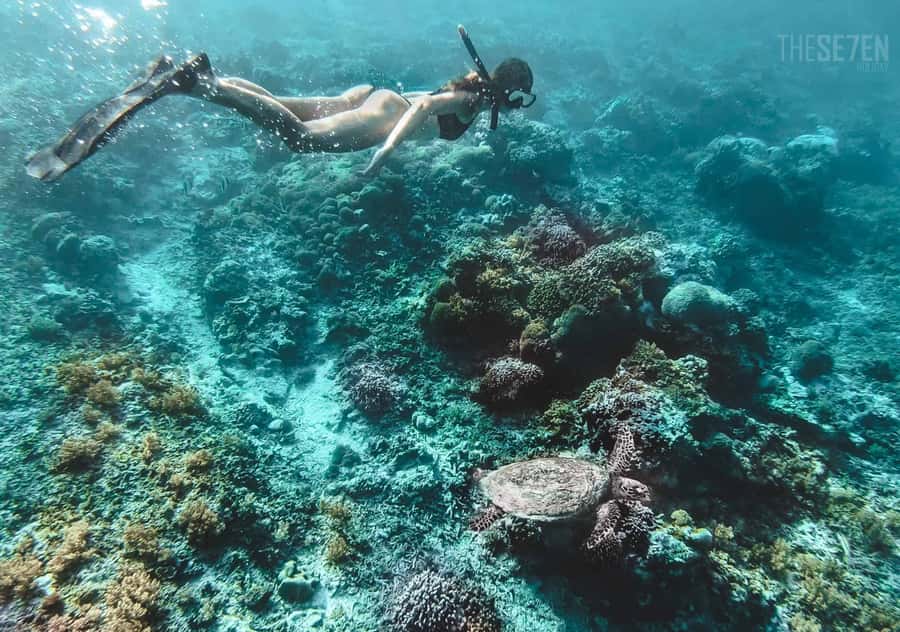 From Bali: 2-Day Private Gili Island Snorkel Tour with Hotel - Arriving on Gili Trawangan by cidomo