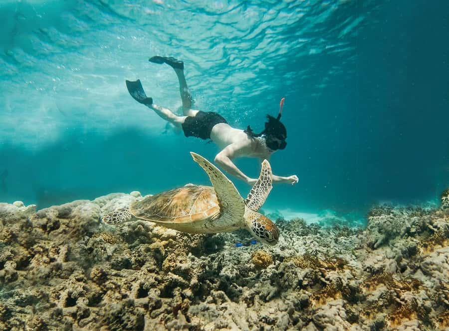 From Bali: 2D1N Gili Island Private Snorkel Boat with Hotel - The GoPro service is more useful than it sounds